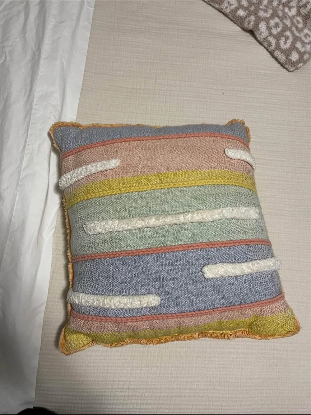 2 Decorative Throw Pillows